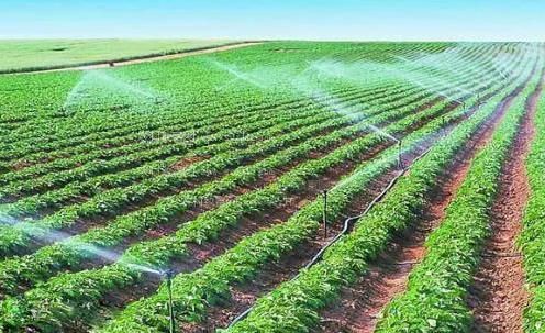 大鸡巴插逼农田高 效节水灌溉